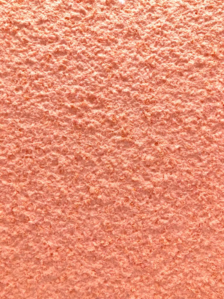 Colorado 110 — Lachs